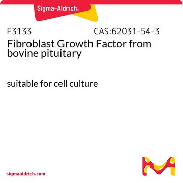 Fibroblast Growth Factor from bovine pituitary suitable for cell culture