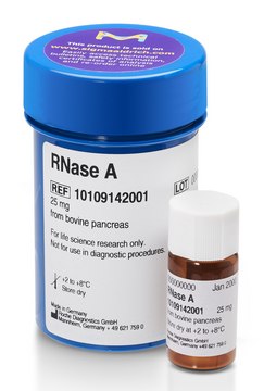 RNase A from bovine pancreas