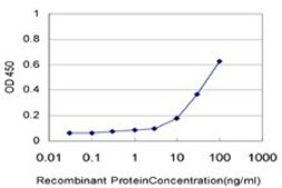 ANTI-ELF3 antibody produced in mouse clone 1F12, purified immunoglobulin, buffered aqueous solution