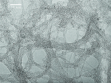 Carbon nanotube, single-walled (6,5) chirality, &#8805;90% carbon basis (&#8805;99% as carbon nanotubes), 0.78&#160;nm average diameter, avg. no. of layers, 1