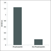 Anti-phospho-MER/SKY (pTyr749/681) antibody produced in rabbit affinity isolated antibody