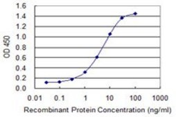 Monoclonal Anti-FLNA antibody produced in mouse clone 3B6-1D10, purified immunoglobulin, buffered aqueous solution