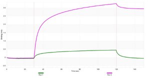Anti-NRF1 Antibody, clone 1J3 ZooMAb&#174; Rabbit Monoclonal recombinant, expressed in HEK 293 cells