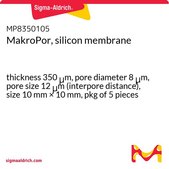 MakroPor, silicon membrane thickness 350&#160;&#956;m, pore diameter 8&#160;&#956;m, pore size 12&#160;&#956;m (interpore distance), size 10&#160;mm × 10&#160;mm, pkg of 5&#160;pieces
