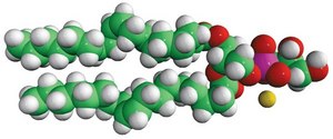 18:1 (&#916;9-Cis) PG Avanti Research&#8482; - A Croda Brand