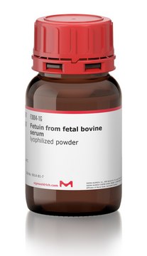 Fetuin from fetal bovine serum lyophilized powder