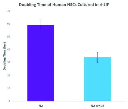 Leukemia Inhibitory Factor human, animal component free recombinant, expressed in rice, 500&#160;&#956;g/mL