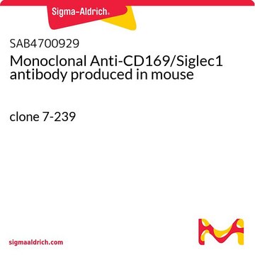 Monoclonal Anti-CD169/Siglec1 antibody produced in mouse clone 7-239