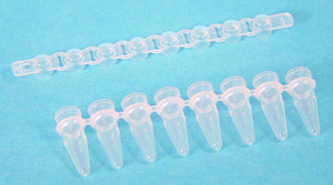 Corning&#174; Thermowell GOLD PCR 8 well tube strips 1 × 8 PCR tube strips, 0.2mL, no caps, clear, 1250/cs