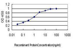 Monoclonal Anti-KSR1 antibody produced in mouse clone 6C7, purified immunoglobulin, buffered aqueous solution