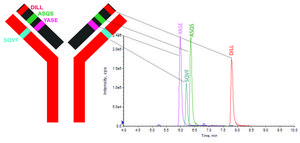 SILu&#8482;MAb Cetuximab Stable-Isotope Labeled Monoclonal Antibody recombinant, expressed in CHO cells