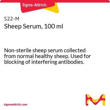 Sheep Serum, 100 ml Non-sterile sheep serum collected from normal healthy sheep. Used for blocking of interfering antibodies.