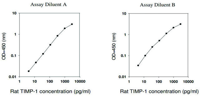 Rat TIMP-1 ELISA Kit for serum, plasma and cell culture supernatant