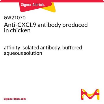 Anti-CXCL9 antibody produced in chicken affinity isolated antibody, buffered aqueous solution