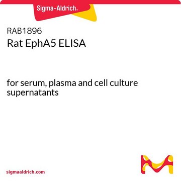 Rat EphA5 ELISA for serum, plasma and cell culture supernatants