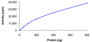 DDR1 (444-end), active, GST tagged human PRECISIO&#174; Kinase, recombinant, expressed in baculovirus infected Sf9 cells, &#8805;70% (SDS-PAGE), buffered aqueous glycerol solution