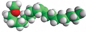 18:1 dimethylacetal 9Z-octadecenal-dimethylacetal, chloroform
