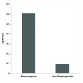 Anti-phospho-ARHGDIA (pSer174) antibody produced in rabbit affinity isolated antibody