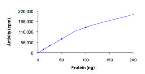 CDK2/CyclinA1, active, GST tagged human PRECISIO&#174; Kinase, recombinant, expressed in baculovirus infected Sf9 cells, &#8805;70% (SDS-PAGE), buffered aqueous glycerol solution