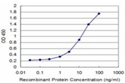Monoclonal Anti-DCK, (C-terminal) antibody produced in mouse clone 1E6, purified immunoglobulin, buffered aqueous solution