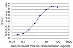 ANTI-T antibody produced in mouse clone 5C8, purified immunoglobulin, buffered aqueous solution