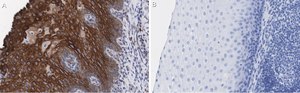 Anti-L-amino acid oxidase Antibody, clone 4O11 ZooMAb&#174; Rabbit Monoclonal recombinant, expressed in HEK 293 cells