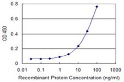 Monoclonal Anti-CCNA1 antibody produced in mouse clone 4A11-5B5, purified immunoglobulin, buffered aqueous solution