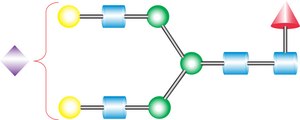 A1F Glycan ammonium salt from Porcine
