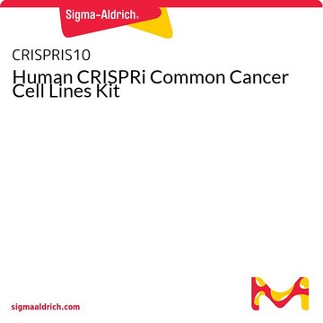 Human CRISPRi Common Cancer Cell Lines Kit