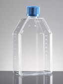 Corning&#174; Falcon&#174; Cell Culture Flask capacity 150&#160;mL, straight neck, graduated, 10 &#8209; 200&#160;mL, cap, blue vented