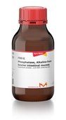 Phosphatase, Alkaline from bovine intestinal mucosa lyophilized powder, &#8805;10&#160;DEA units/mg solid
