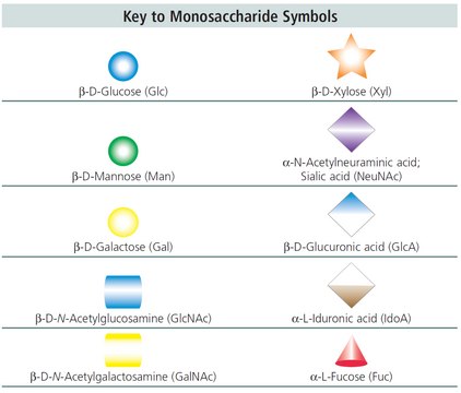 A3 Glycan from bovine, &#8805;90% (HPLC)