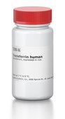 Transferrin human Optiferrin&#8482;, recombinant, expressed in rice