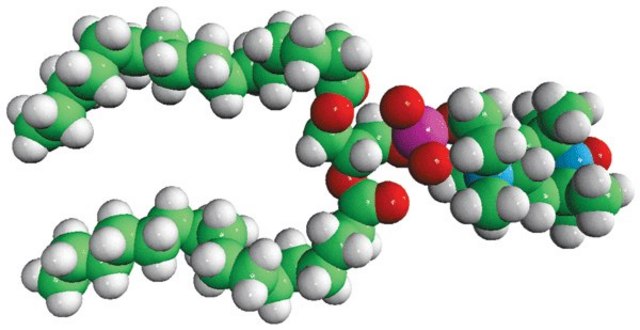 16:0 Tempo PC Avanti Research&#8482; - A Croda Brand 810606P, powder