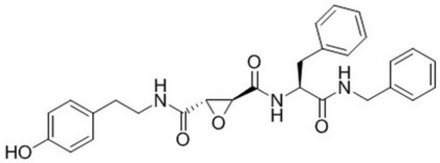 Cathepsin L Inhibitor, CAA0225