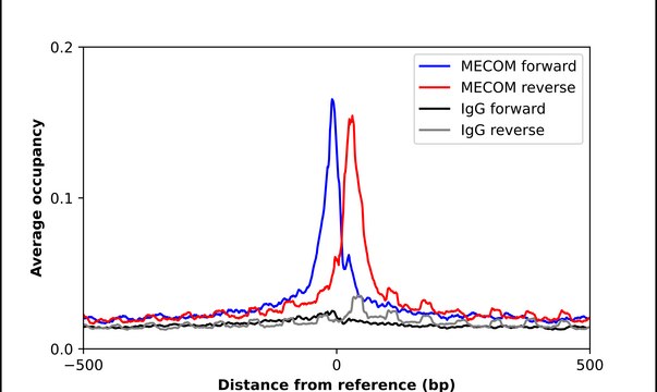 Anti-MECOM antibody produced in rabbit Prestige Antibodies&#174; Powered by Atlas Antibodies, affinity isolated antibody, buffered aqueous glycerol solution