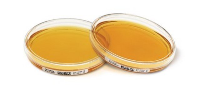 Tryptic Soy Agar - Ready-to-use Settle Plates Tween&#174;, Lecithin, ICR Settle plate, sterile; irradiated, plate diam. 90&#160;mm, suitable for air monitoring