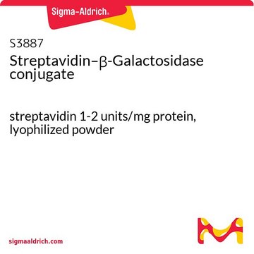 Streptavidin–&#946;-Galactosidase conjugate streptavidin 1-2&#160;units/mg protein, lyophilized powder