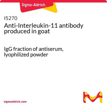 Anti-Interleukin-11 antibody produced in goat IgG fraction of antiserum, lyophilized powder