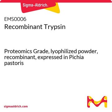 Recombinant Trypsin Proteomics Grade, lyophilized powder, recombinant, expressed in Pichia pastoris