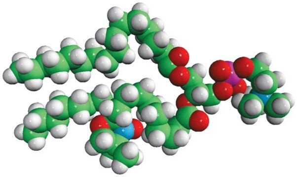 16:0-10 Doxyl PC Avanti Research&#8482; - A Croda Brand 810603C