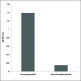 Anti-phospho-TUBA1/3/4 (pTyr272) antibody produced in rabbit affinity isolated antibody