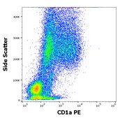 Monoclonal Anti-CD1a PE produced in mouse