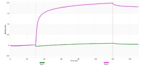 Anti-phospho ABL1 (Tyr245) Antibody, clone 3F7 ZooMAb&#174; Rabbit Monoclonal recombinant, expressed in HEK 293 cells