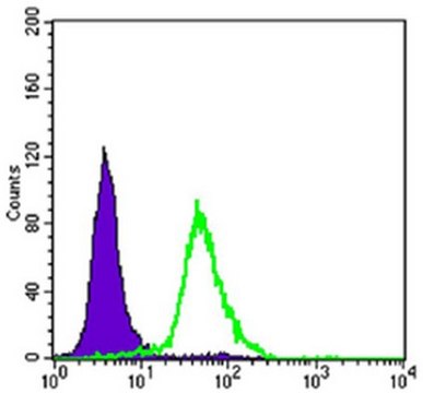 Anti-CRTC2 Antibody, clone 5B10 ascites fluid, clone 5B10, from mouse