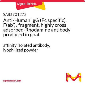 Anti-Human IgG (Fc specific), F(ab&#8242;)2 fragment, highly cross adsorbed-Rhodamine antibody produced in goat affinity isolated antibody, lyophilized powder