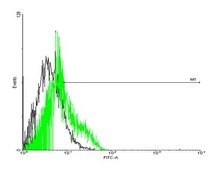 Anti-GPRC5D antibody produced in mouse purified immunoglobulin, buffered aqueous solution