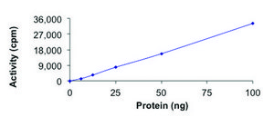 KAT2A (GCN5), active, GST tagged human recombinant, expressed in baculovirus infected Sf9 cells, &#8805;70% (SDS-PAGE), buffered aqueous glycerol solution