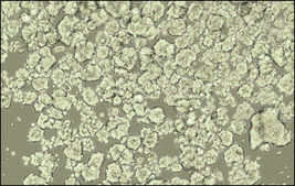 3dGRO&#174; Spheroid Medium