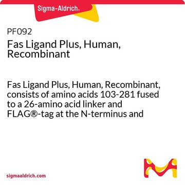 Fas Ligand Plus, Human, Recombinant Fas Ligand Plus, Human, Recombinant, consists of amino acids 103-281 fused to a 26-amino acid linker and FLAG&#174;-tag at the N-terminus and expressed in HEK293 cells.